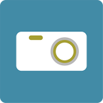 ico_camaradigital_300